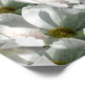 ホワイトコスモス花抽象芸術アート ポスター (角)