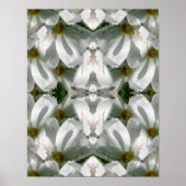 ホワイトコスモス花抽象芸術アート ポスター (正面)