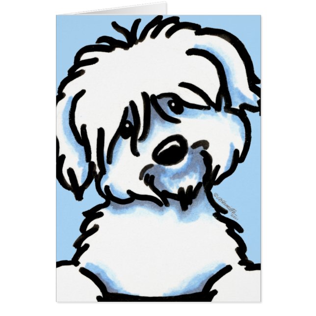 ホワイトコトンデチュラー顔 (正面)