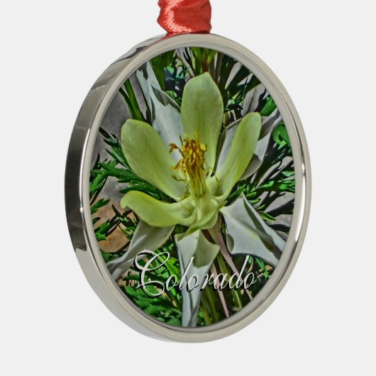 ホワイトコロラドオダマキ(植物)フラワーオーナメント メタルオーナメント (右)