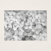 ホワイトサロンギフト券 (裏面)