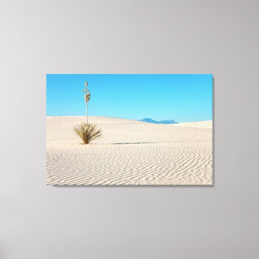 ホワイトサンズの風景とユッカの木 キャンバスプリント (正面)