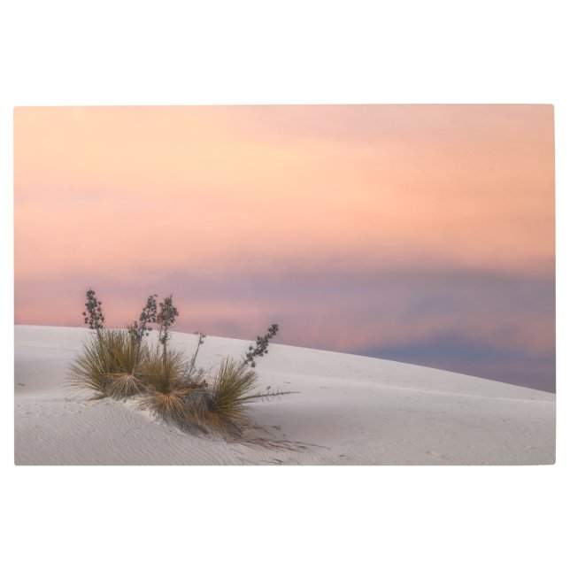 ホワイトサンズサンセット メタルプリント (正面)