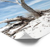 ホワイトサンズジオン国立公園写真 ポスター (角)