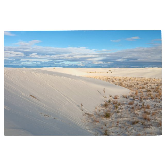 ホワイトサンズデュネス メタルプリント (正面)
