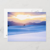 ホワイトサンズナショナルモニュメント3 ポストカード (正面/裏面)