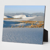 ホワイトサンズナショナルモニュメント、トラバース砂丘 フォトプラーク (側面)