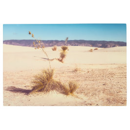 ホワイトサンズユッカス メタルプリント