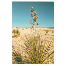 ホワイトサンズユッカ メタルプリント