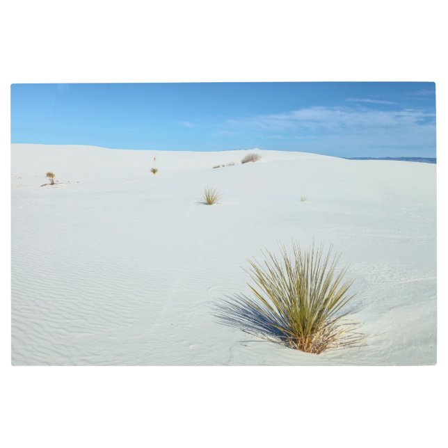 ホワイトサンズ砂漠 メタルプリント (正面)