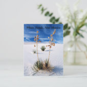 ホワイトサンズ ポストカード (スタンド正面)