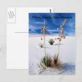 ホワイトサンズ ポストカード (正面/裏面)