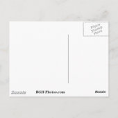 ホワイトサンズ ポストカード (裏面)