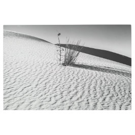 ホワイトサンズbw メタルプリント