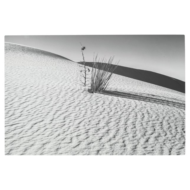 ホワイトサンズbw メタルプリント (正面)