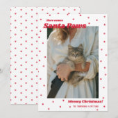 ホワイトサンタポーズミュークリスマス猫のフォトカード シーズンカード (正面/裏面)