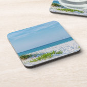 ホワイトサンディビーチフロリダ海岸線 コースター (左側)