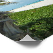 ホワイトサンドビーチw/Palm ポスター (角)