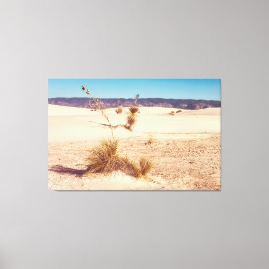 ホワイトサンドユッカス キャンバスプリント (正面)