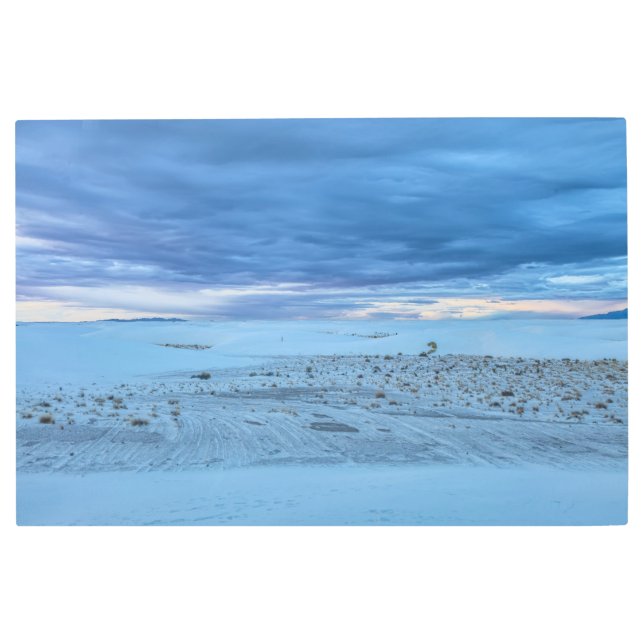 ホワイトサンド国立公園 メタルプリント (正面)