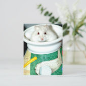 ホワイトシェルターハムスターポストカード ポストカード (スタンド正面)