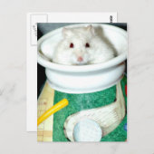 ホワイトシェルターハムスターポストカード ポストカード (正面/裏面)