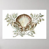 ホワイトシェル ポスター (正面)