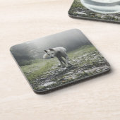 ホワイトシベリアハスキー飲料用コースター コースター (左側)