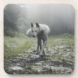 ホワイトシベリアハスキー飲料用コースター コースター