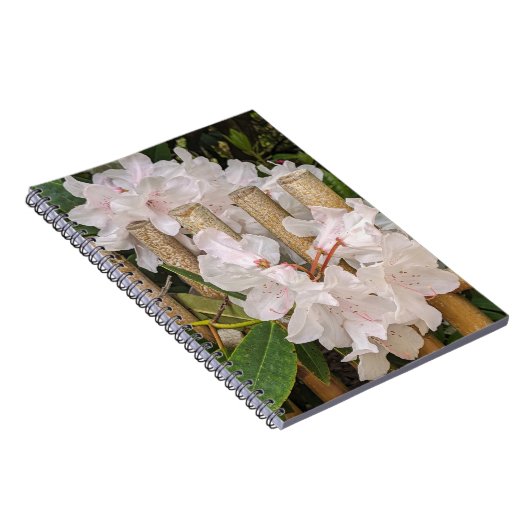 ホワイトシャクナゲと竹フェンスフローラ ノートブック (右側)