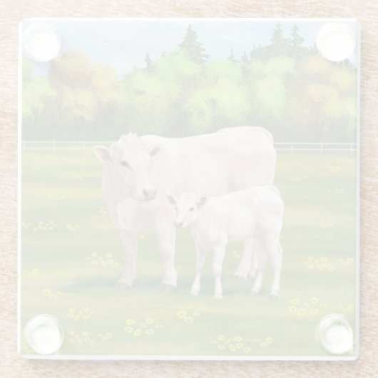 ホワイトシャロレカウカートカーフ牛 ガラスコースター (裏面)