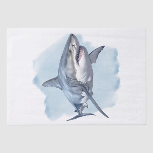 ホワイトシャークの水彩画 薄葉紙 (正面)