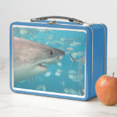 ホワイトシャーク素晴らしクローズアップ海オーストラリア メタルランチボックス (インサイチュ)