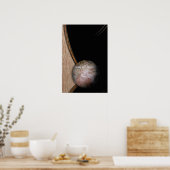 ホワイトシャーマン ポスター (キッチン)