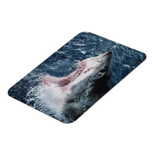 ホワイトシャ素晴らしメの頭 マグネット (左側)