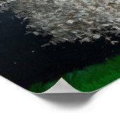 ホワイトシルバークリスマスツリー、明るい星 ポスター (角)