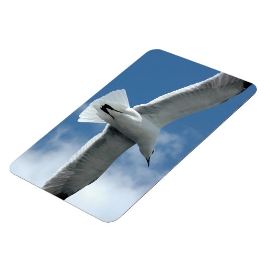 ホワイトシーガル飛んでいるフレキシ磁石 マグネット (左側)