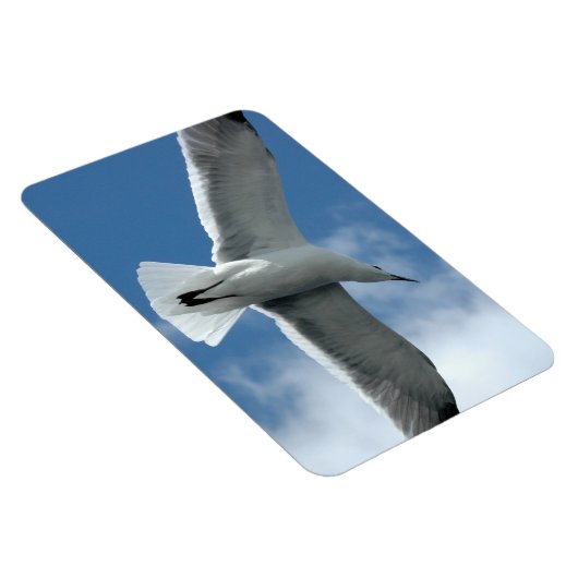 ホワイトシーガル飛んでいるフレキシ磁石 マグネット (右側)