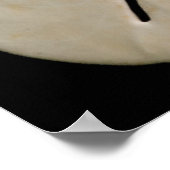 ホワイトシーシェルとサンドドル ポスター (角)