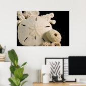 ホワイトシーシェルとサンドドル ポスター (ホームオフィス)