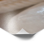 ホワイトシーシェルスヒトデ熱帯ビーチシーシェル フォトプリント            (角)