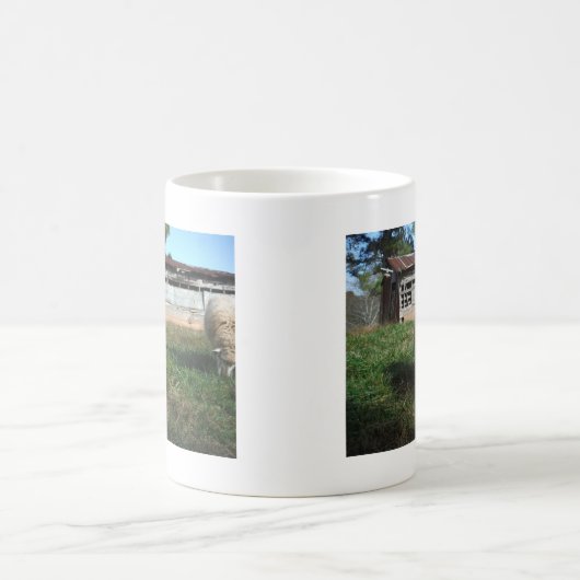 ホワイトシープオンザファーム コーヒーマグカップ (中央)