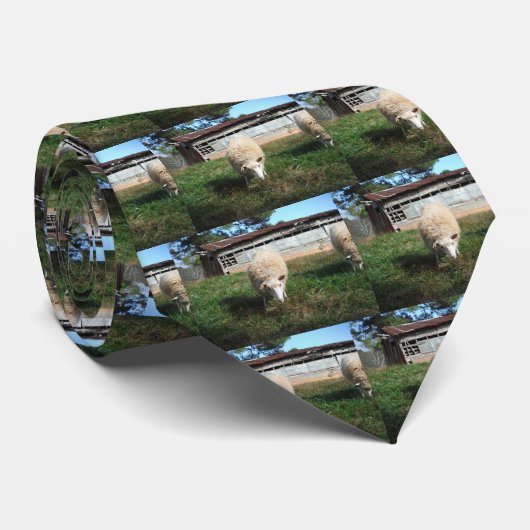 ホワイトシープオンザファーム ネクタイ (ロール)