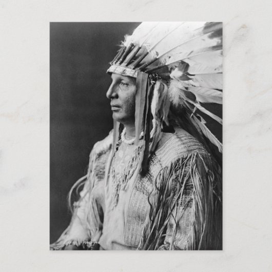 ホワイトシールド ポストカード (正面)