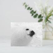 ホワイトシール ポストカード (スタンド正面)