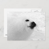 ホワイトシール ポストカード (正面/裏面)