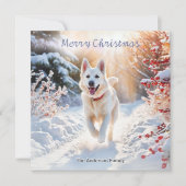 ホワイトジャーマンシェパードドッグ アルザシアン クリスマス (正面)