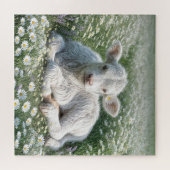 ホワイトスコティッシュハイランドカーフインデイジー草原 ジグソーパズル (横)