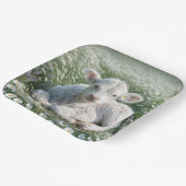 ホワイトスコティッシュハイランドカーフインデイジー草原 ペーパープレート (傾斜あり)