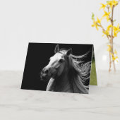 ホワイトスタリオンのプライド – 馬のグリーティングカード カード (黄色い花)